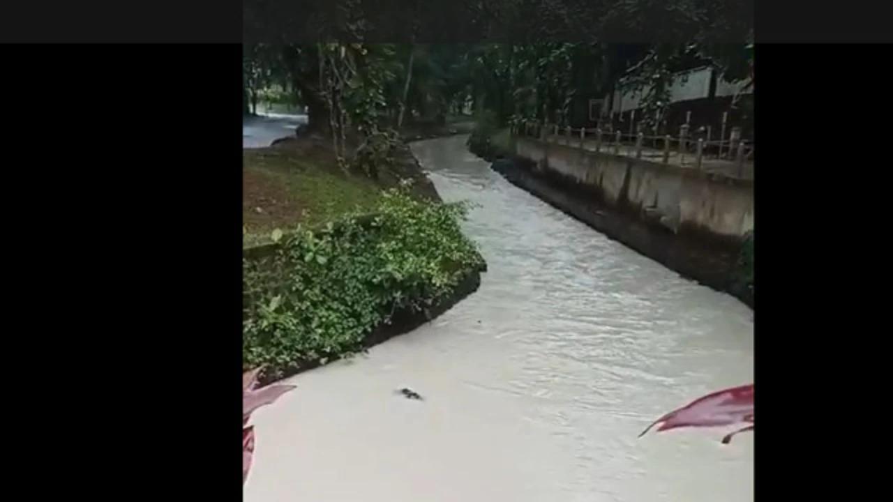 Sungai Cisadane Tercemar Pestisida, Begini Cara Meminimalisir Dampaknya untuk Manusia