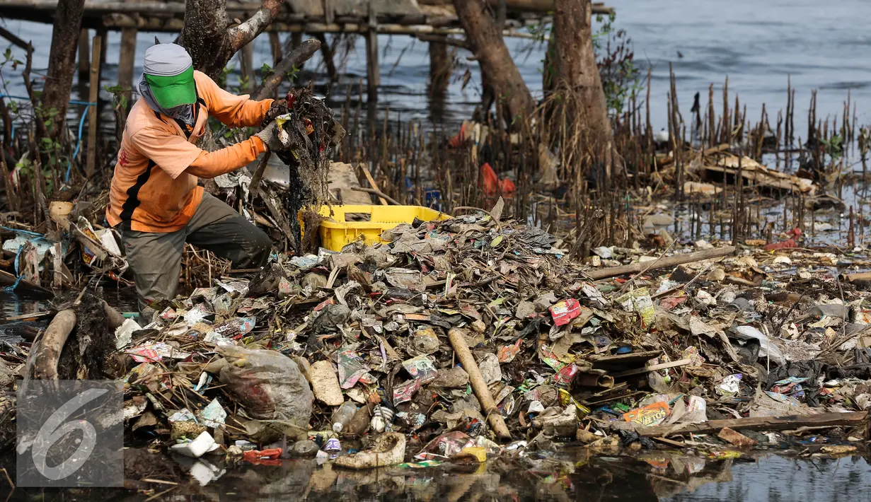 Petugas Dinas Kebersihan membersihkan sampah di pesisir Muara Angke, Jakarta, Kamis (29/10). Petugas menggunakan perahu untuk membersihkan sampah dari kawasan Muara Baru hingga Pantai Indah Kapuk. (Liputan6.com/Faizal Fanani)