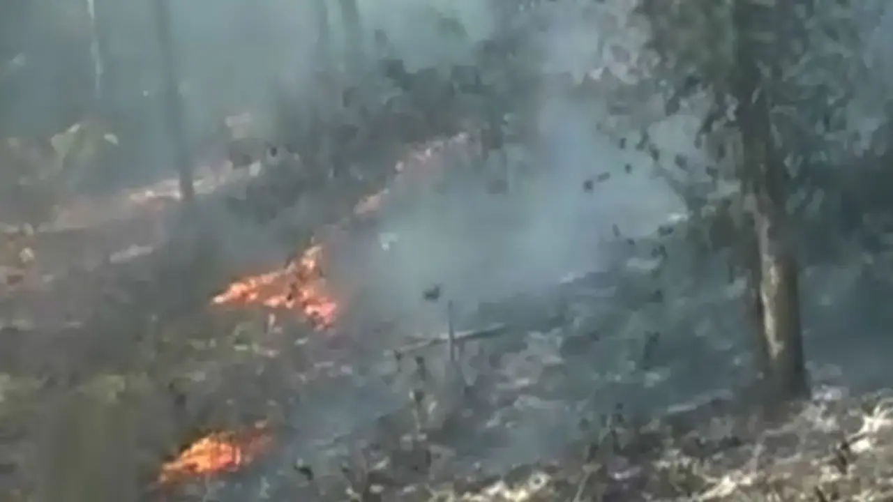 Kebakaran-Hutan