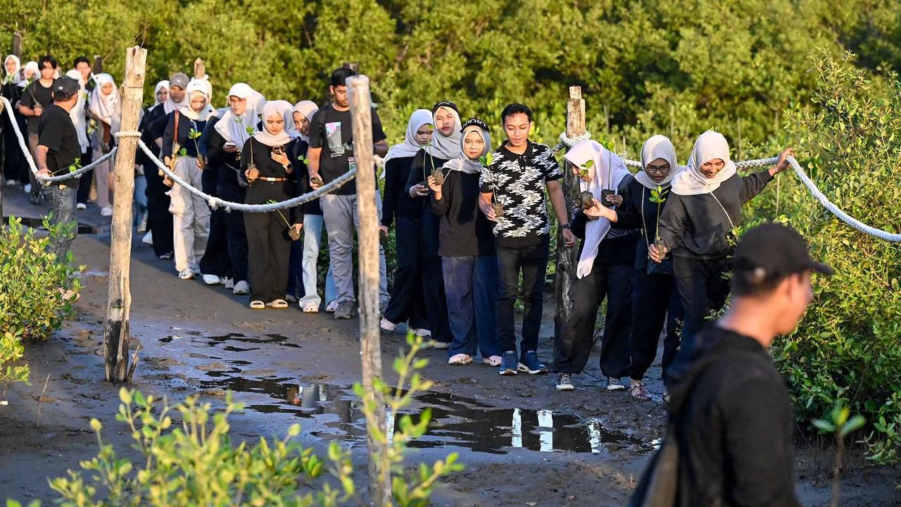 FOTO: Anak Muda Aceh Tanam Mangrove untuk Perkuat Ekosistem Pesisir