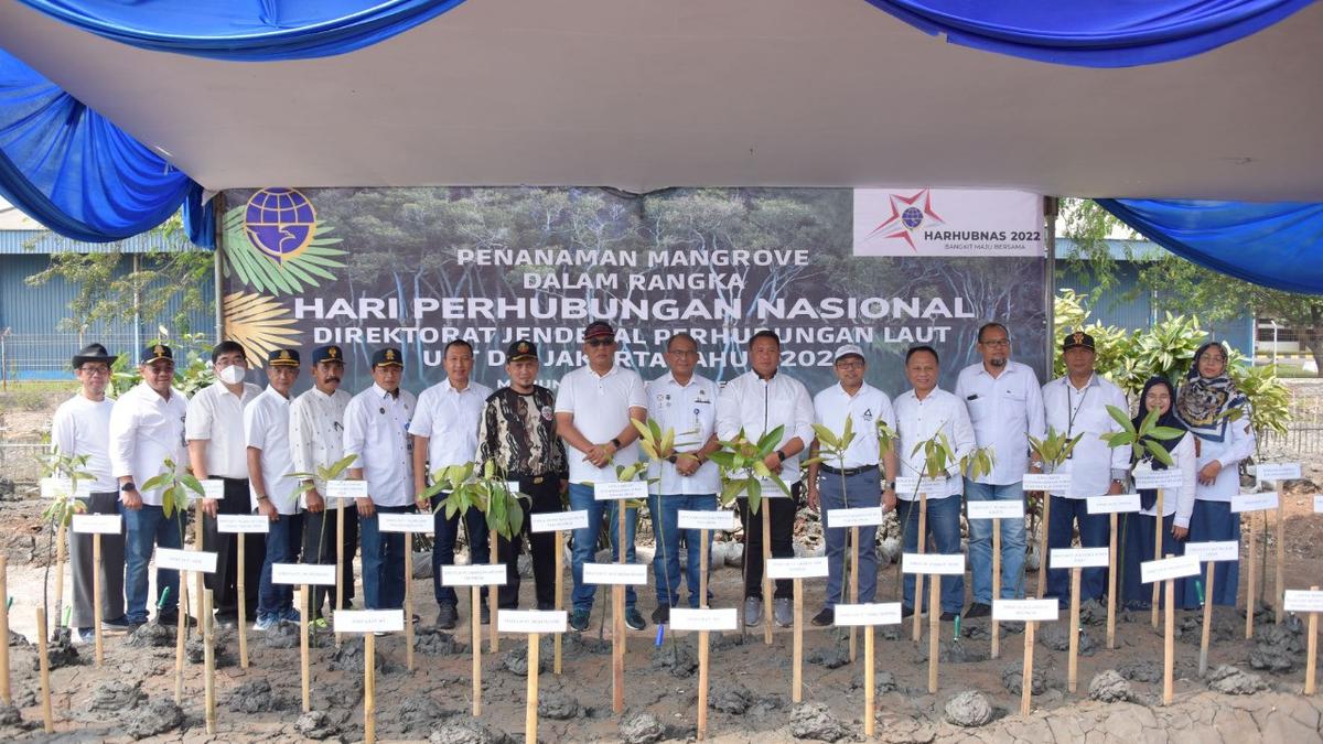 Sambut Hari Perhubungan, KCN Tanam 1.000 Bibit Mangrove di Marunda - Vimarsana News