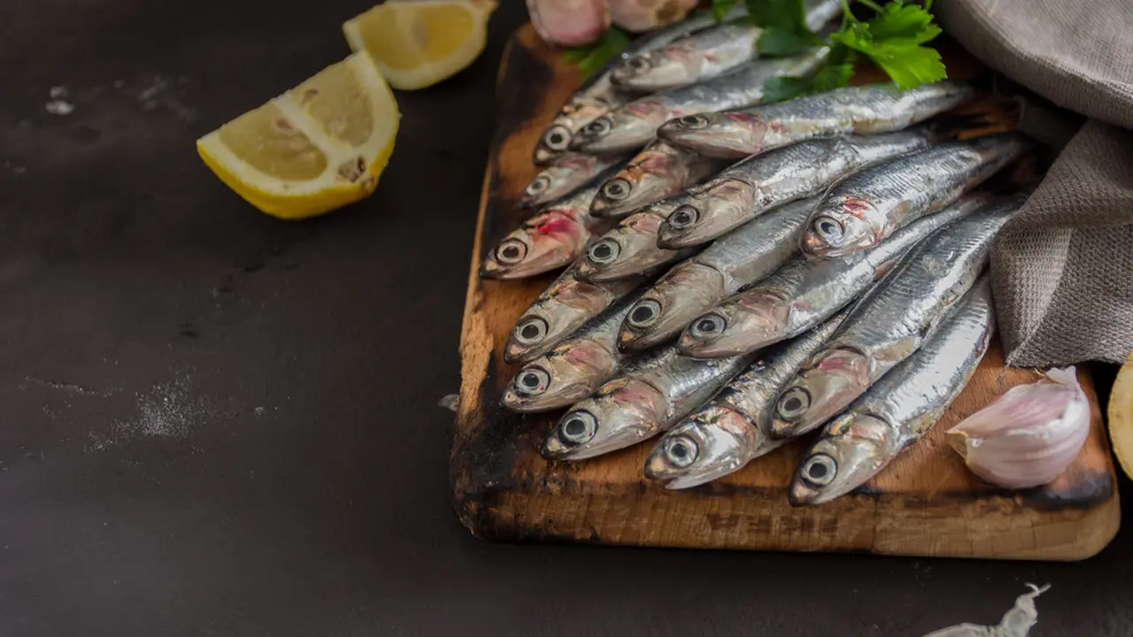 Ikan Teri