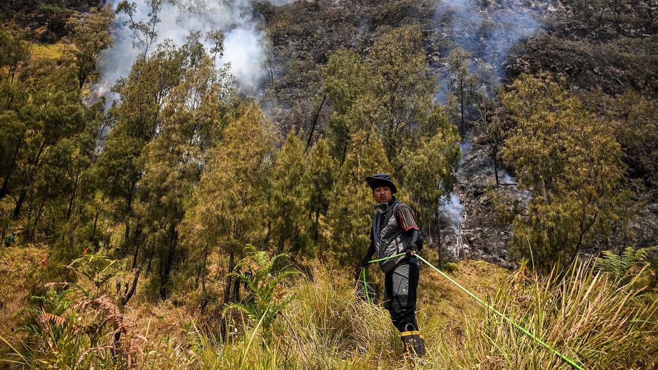 Pemadaman Terus Dilakukan Cegah Api Meluas di Gunung Bromo