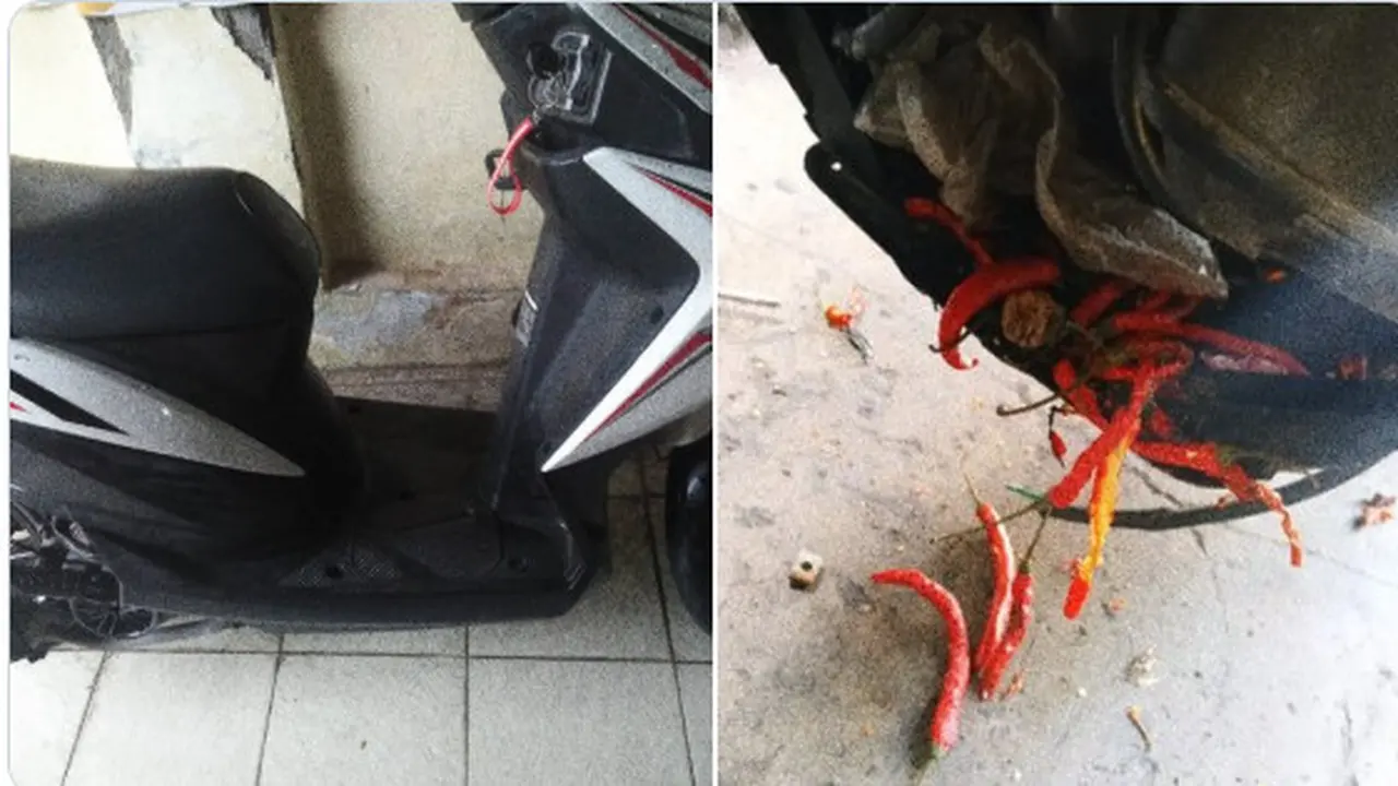 Setelah dibongkar, baru diketahui mesin kendaraan roda dua tersebut ternyata terdapat banyak cabai.