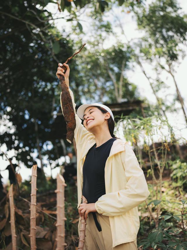 7 Potret Petualangan Maudy Ayunda di Sintang, Seru Panen Singkong