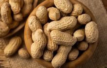 Tips Tepat Menyimpan Kacang Tanah agar Tetap Segar dan Tahan Lama