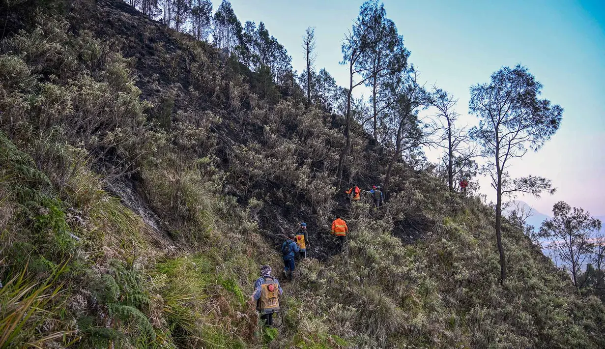 Relawan memadamkan api di Taman Nasional Bromo Tengger Semeru dekat Gunung Bromo di Pasuruan, Jawa Timur, Senin, 10 Agustus 2026. (AFP/ Juni Kriswanto)