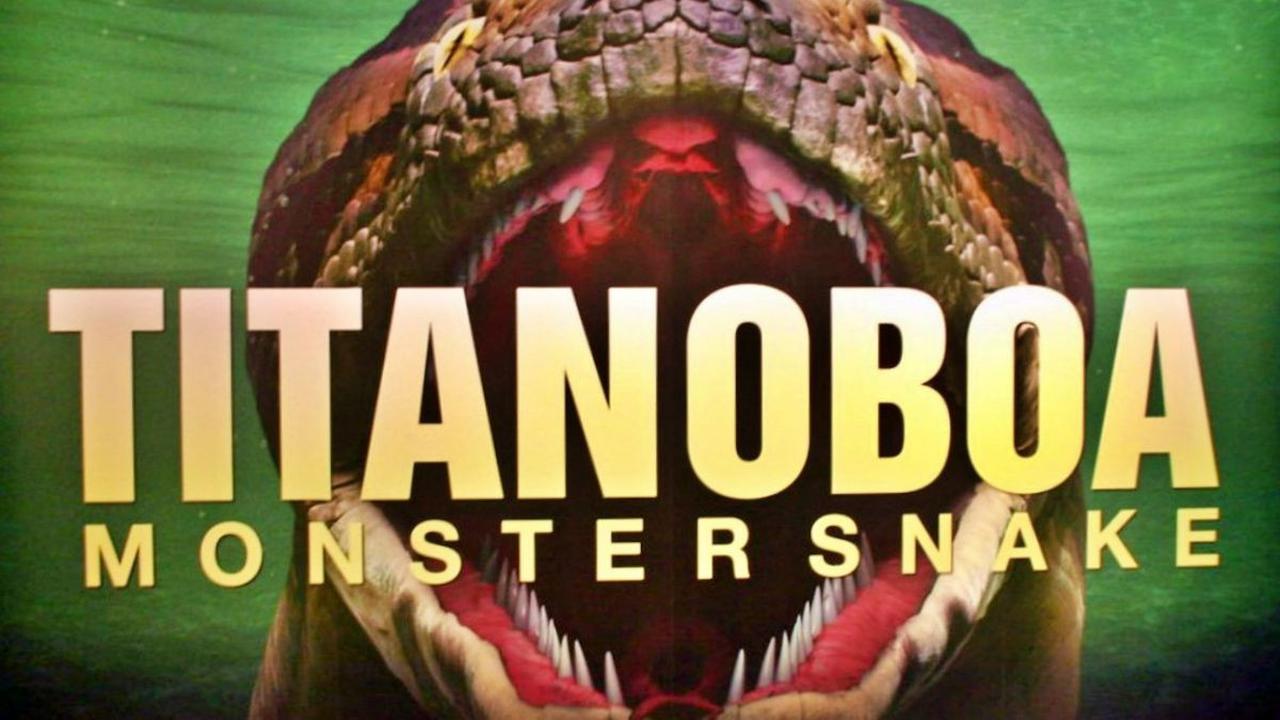Tapi ular itu bernama Titanoboa (cerrejonesis Titanoboa) ular raksasa terbesar yang pernah ada di muka bumi.