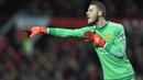 Kiper - David De Gea (Manchester United), sulit memutuskan antara pemuda Spanyol ini atau kiper Arsenal, Peter Cech, namun sepertinya De Gea musim ini masih sedikit lebih baik. (EPA/Peter Powell)