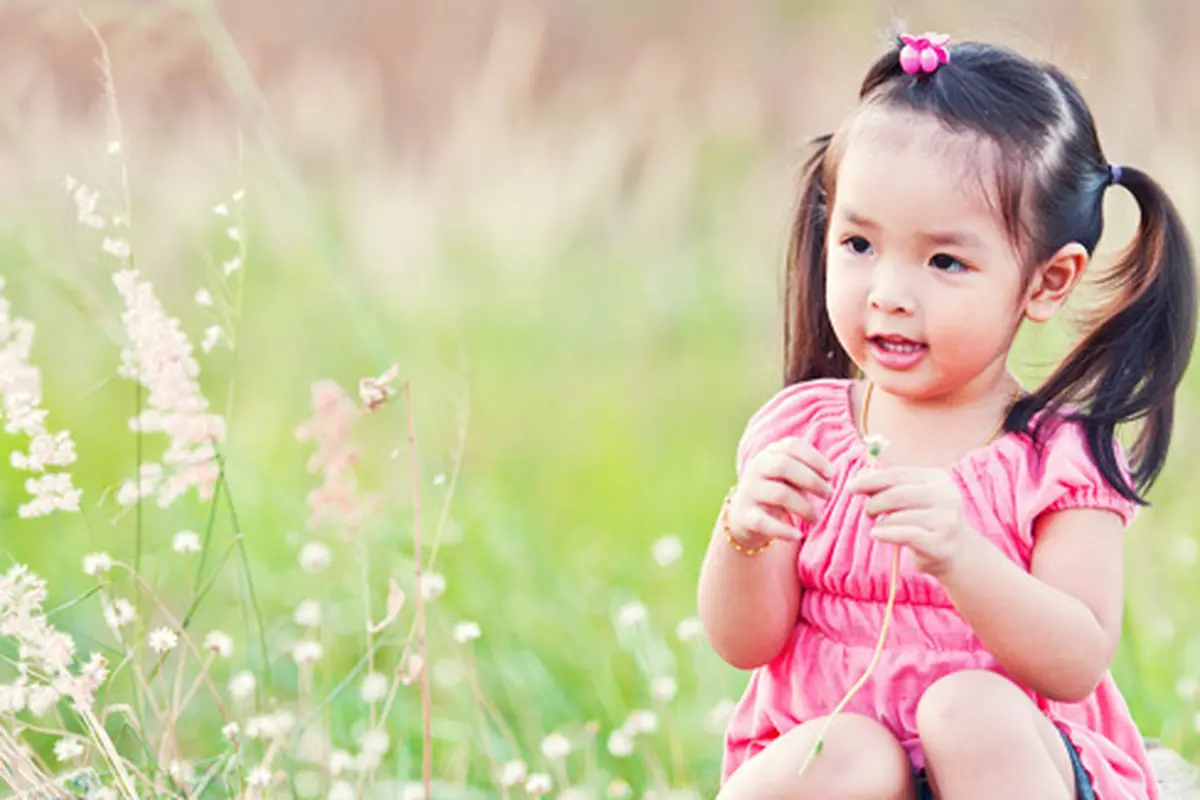 Foto: copyirght shutterstock.com