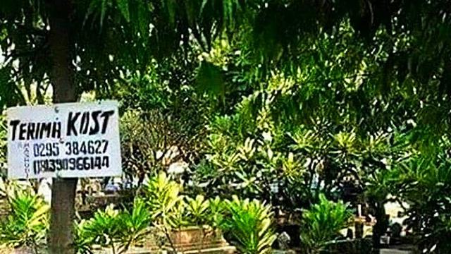 6 Pengumuman Nyeleneh Ini Ditempel di Pohon, Bikin Geleng Kepala