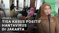Temuan 3 Kasus Positif Hantavirus di Jakarta, Warga Diminta Waspada!