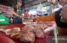 Antisipasi Imlek dan Ramadhan, Pasokan Daging Ayam Babel Ditambah 30 Ton