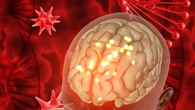 Kesulitan menjalankan fungsi eksekutif