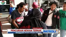 Tersangka menjalankan aksinya seorang diri dengan merusak kandang ternak dan menggiring hewan ternak itu ke suatu tempat.