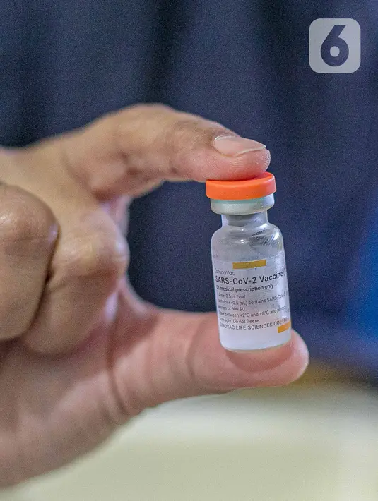 Petugas kesehatan menunjukkan vaksin Covid-19 buatan Sinovac Biotech Ltd. di Puskesmas Cilincing, Jakarta, Rabu (13/1/2021). Pemprov DKI akan menggelar vaksinasi di 453 fasilitas kesehatan DKI Jakarta dengan jumlah dosis vaksin yang sudah diterima sebanyak 39.200 vaksin. (Liputan6.com/Faizal Fanani)