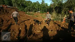 Sejumlah personel kepolisan melakukan pencarian korban longsor di Dusun Caok, Desa Karangrejo, Purworejo, Selasa (21/6). Pencarian korban yang tertimbun juga melibatkan anjing pelacak dari kepolisian. (Liputan6.com/Boy Harjanto)