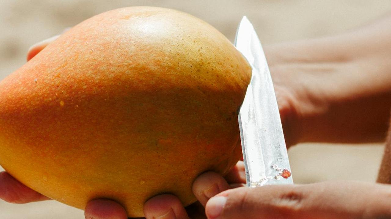 6 Metode Mengolah Kulit Buah Mangga untuk Menurunkan Kolesterol