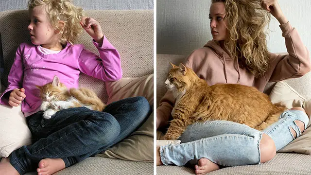 Glow Up, 10 Potret Perbandingan Kucing Dulu VS Sekarang.