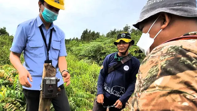 BKSDA-Stakeholder Kawal Jalur Jelajah Gajah Sumatra di Sumsel