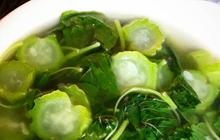 Manfaat Sayur Oyong dalam Menurunkan Kolesterol serta Menjaga Kesehatan Jantung