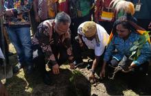 Kementerian UMKM Dorong Pengembangan UMKM Kopi Jayawijaya di Papua Pegunungan