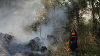 Petugas Gabungan melakukan pemadaman api untuk mencegah perluasan lahan hutan yang terbakar di Gunung Ciremai Kabupaten Kuningan Jawa Barat. Foto (Liputan6.com / Panji Prayitno)