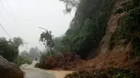 Longsor di Padang, Jalur Lintas Sumatera Barat - Jambi Terganggu