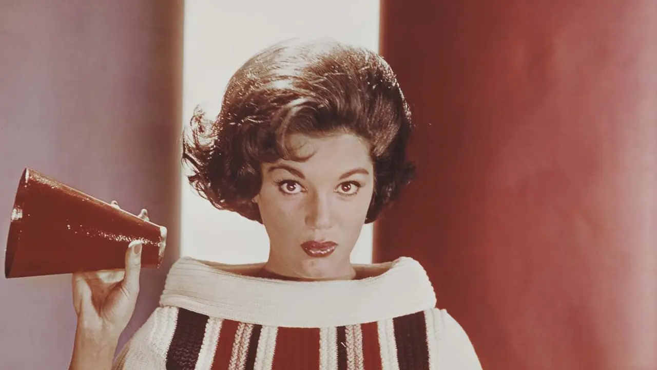 Connie Francis: Pretty Little Baby Singer Legacy