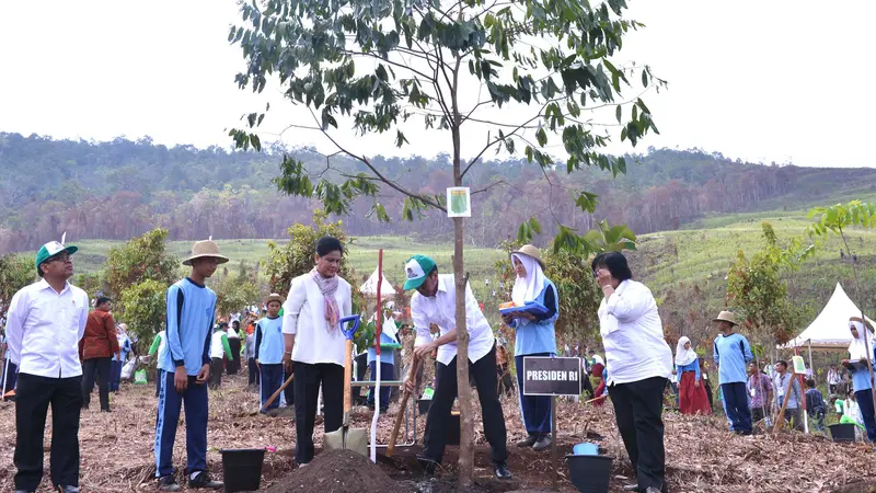 20151126-Melihat Jokowi Menanam Pohon di Hutan Kalimantan Selatan