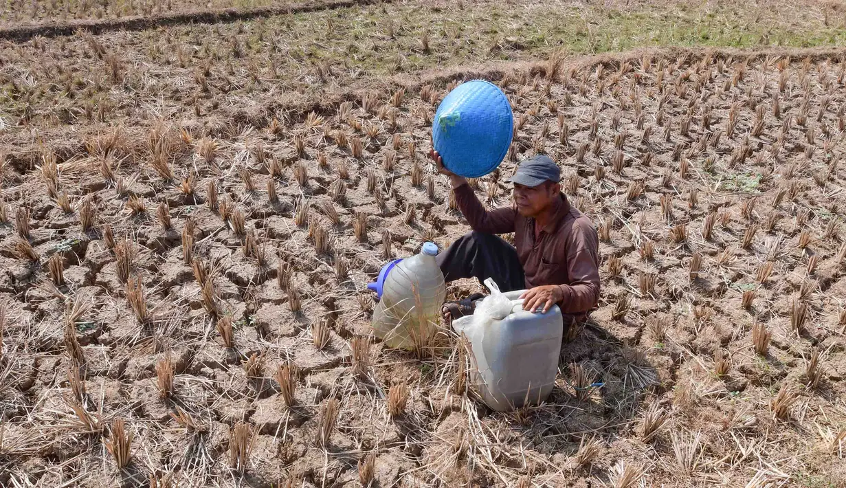 Warga beristirahat saat mengambil air untuk kebutuhan sehari-hari pada kubangan bekas sawah di  kawasan Weninggalih, Jonggol, Jawa Barat, Selasa, 25 Agustus 2026. (KLY/ Arie Basuki)