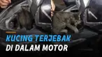 Seorang perempuan mengalami hal misterius mendengar suara di dalam motornya.