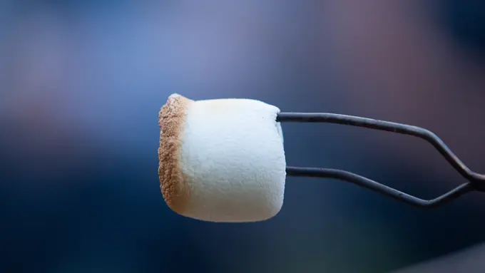 Marshmallow