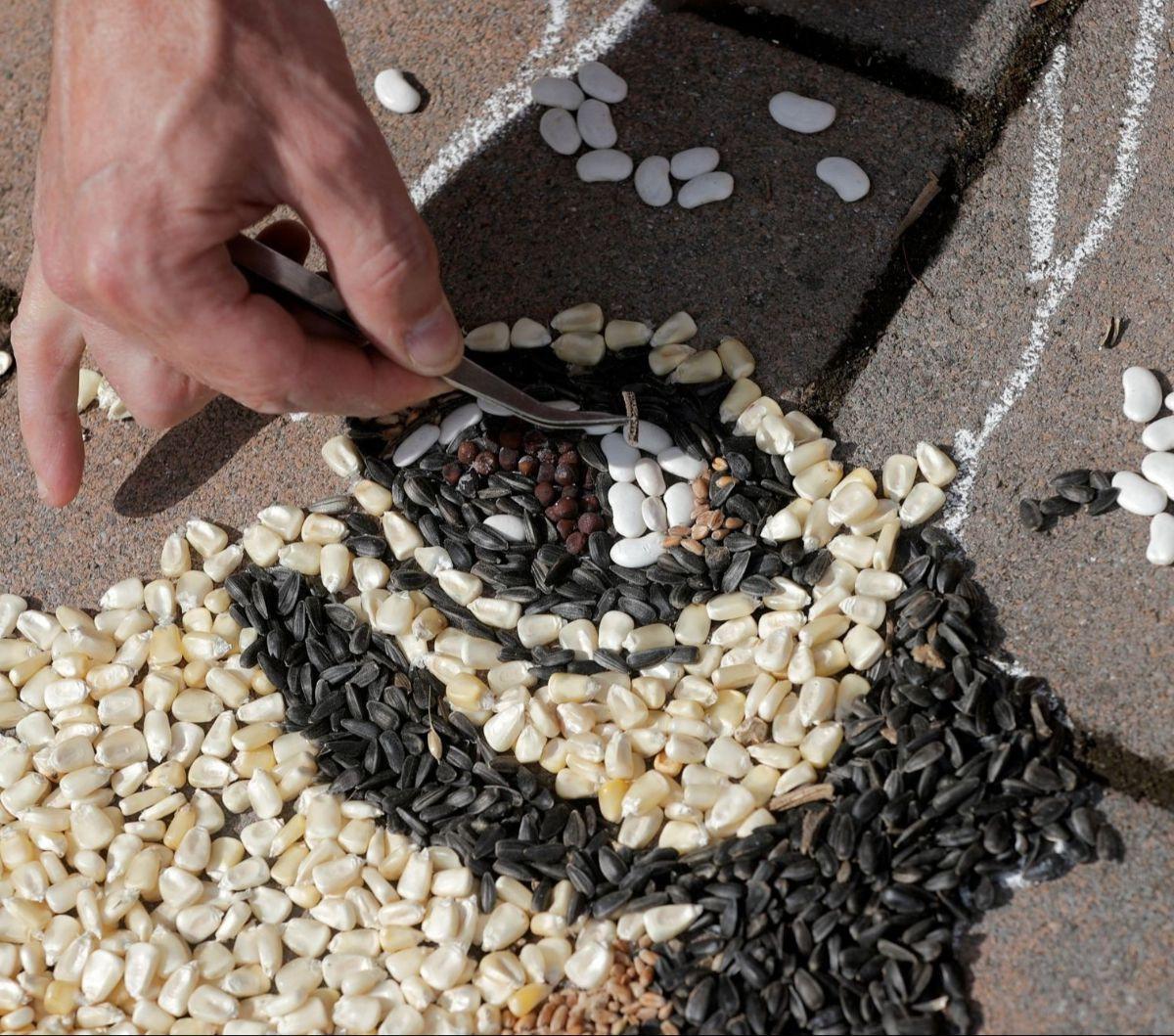 Pozhegu mempersembahkan sebuah karya yang sangat istimewa berupa mozaik wajah legenda pop dunia, Michael Jackson, yang dibuat di atas trotoar di kawasan Gjakova. Foto: REUTERS / Valdrin Xhemaj<br>