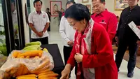 Top 3 News: Penantian 56 Tahun Megawati, Akhir Beban Sejarah TAP MPRS Bung Karno