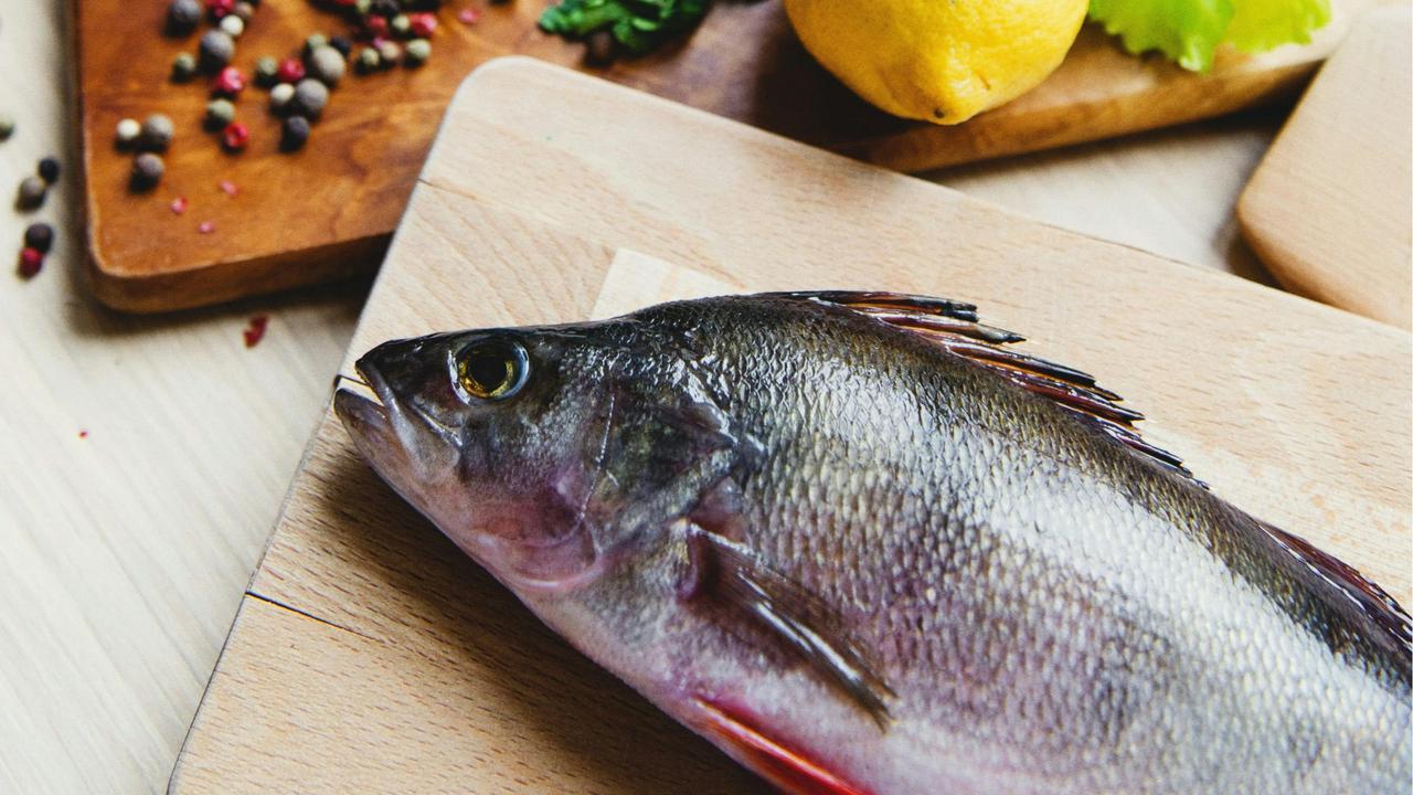 Cara Membersihkan Ikan Patin