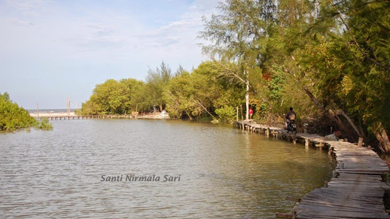 Wisata Mangrove Terpadu di Kampoeng Nipah Sumatera Utara