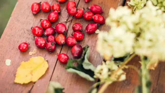 Rosehip oil untuk kulit