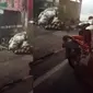 Tingkah Laku Nyeleneh Ibu-Ibu Tak Ada Habisnya, Tinggalkan Motor di Tengah Jalan Demi Kelapa Muda