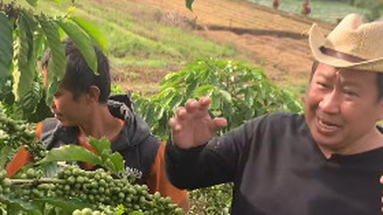 Kini jadi Petani, Momen Pensiunan Jenderal Polisi Turun ke Kebun Kopi Penampilannya Tetap Kece