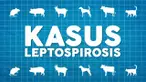 Direktur Jenderal Pencegahan dan Pengendalian Penyakit Kementerian Kesehatan RI, Anung Sugihantono menyebutkan ada delapan provinsi yang terdapat kasus leptospirosis.