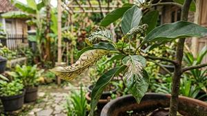 9 Hama Kebun yang Paling Merusak Tanaman, Kenali Jenis dan Dampaknya