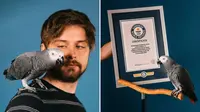 Apollo, burung beo abu-abu Afrika berusia 4 tahun pecahkan rekor dunia dari Guinness World Record. (Dok Guinness World Records)