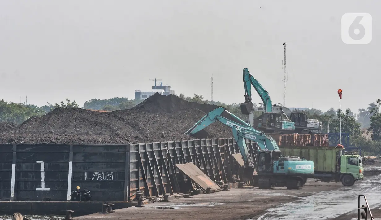 Aktivitas kendaraan alat berat saat bongkar muat batu bara di Pelabuhan PT KCN Marunda, Jakarta Utara, Rabu (5/1/2022). Pelarangan eskpro batu bara tercantum dalam surat nomor B-1605/MB.05/DJB.B/2021 yang dikeluarkan pada 31 Desember 2021 lalu. (merdeka.com/Iqbal S. Nugroho)