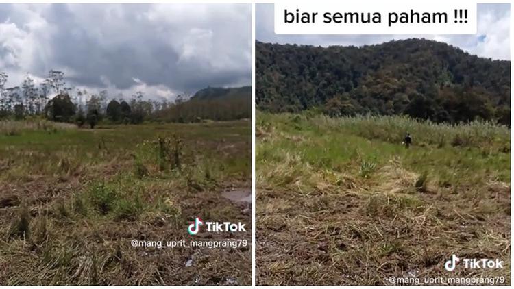 Komunitas Motor Trail Rusak Bunga Edelweis Rawa di Ranca Upas. (Sumber: TikTok/@mang_uprit_mangprang79)