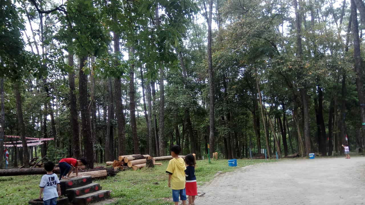 Wisata Hutan Pinus di Tengah Kota Palembang