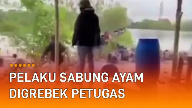Video kumpulan pelaku sabung ayam digerebek petugas kepolisian. Kejadian itu terjadi di Dempel, Kota Semarang, Jawa Tengah.