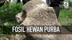 Seorang petani menemukan sejumlah benda yang diduga fosil hewan purba saat bekerja di kebun.