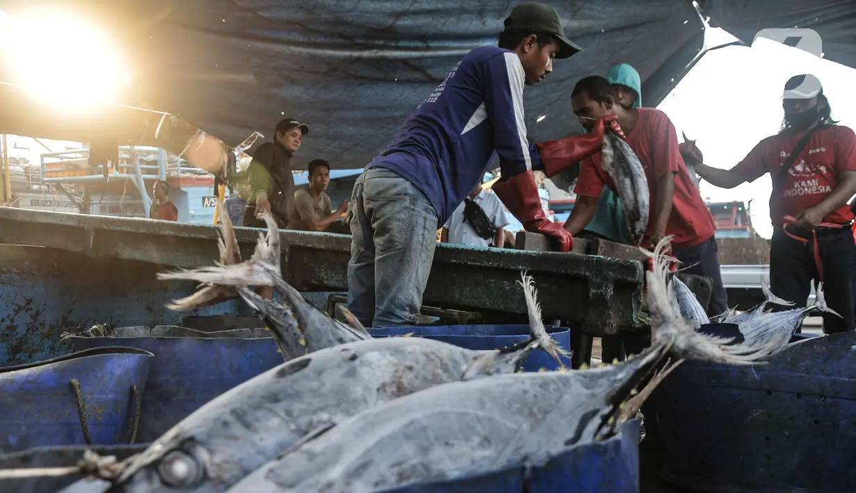 Untuk nilai impor pada 2022 mencapai USD 0,64 miliar atau Rp 9,45 triliun. (merdeka.com/Iqbal S Nugroho)