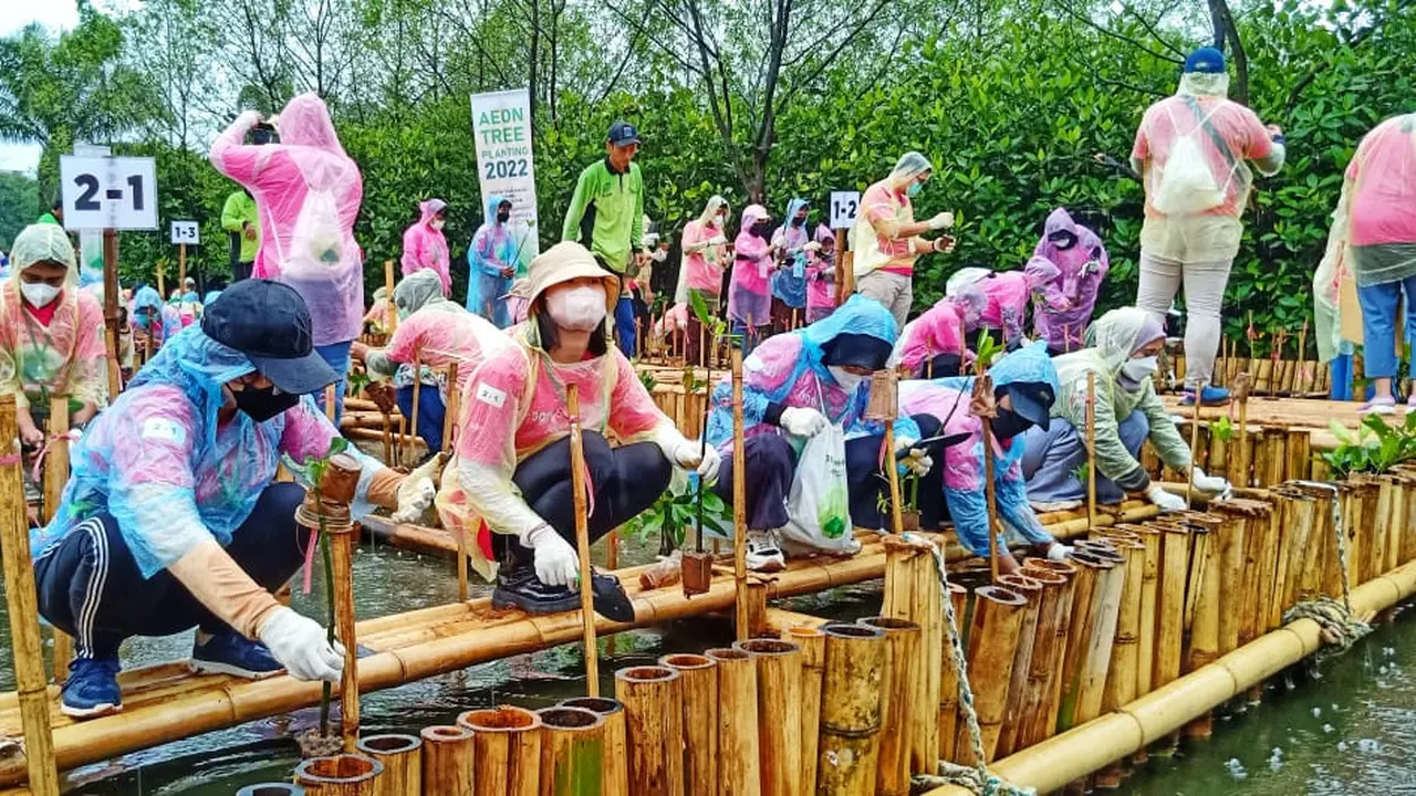 Sejak tahun 2011, Pemprov DKI Jakarta bekerjasama dengan AEON Environmental Foundation mengadakan penanaman pohon selama 2 tahap di daerah seperti hutan bakau dan sejenisnya (Istimewa)